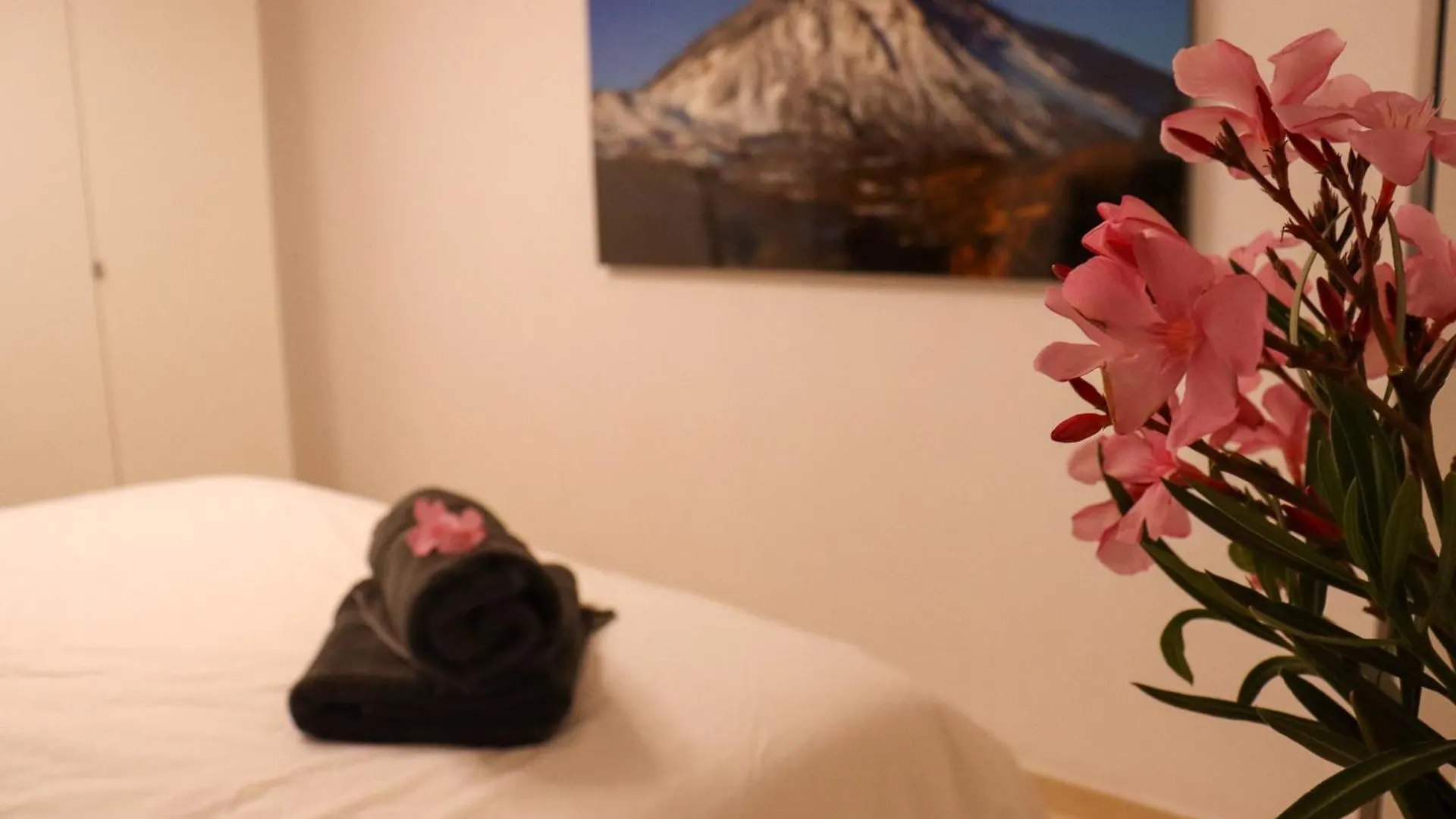 Cozy Villa Oasis Vista Mare Costa Adeje  0*, Costa Adeje (Tenerife) Španělsko