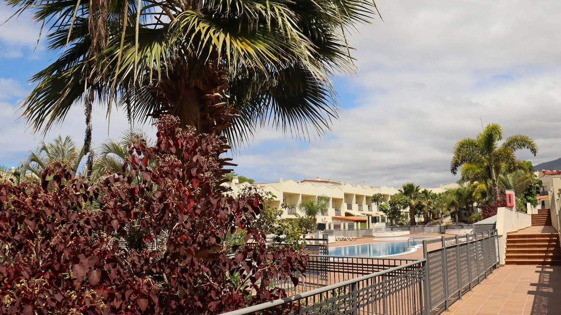 Cozy Villa Oasis Vista Mare Costa Adeje  Costa Adeje (Tenerife)